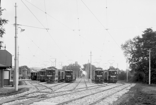 Endstelle Freudenau an einem Renntag um 1910. Von links: Triebwagen 2002, Type G2, Triebwagen 263, Type D, als Linie J, Triebwagen 569, Type G, als Linie M, 876, Type G als Linie Tk und die Triebwägen 240 und 125, Type D als Linien 75.