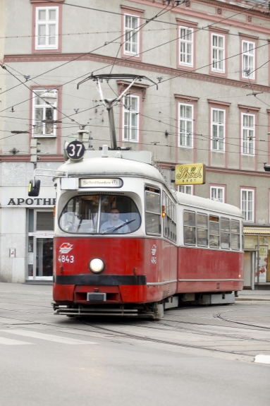 Straßenbahn auf der Linie 37 Richtung Schottentor.