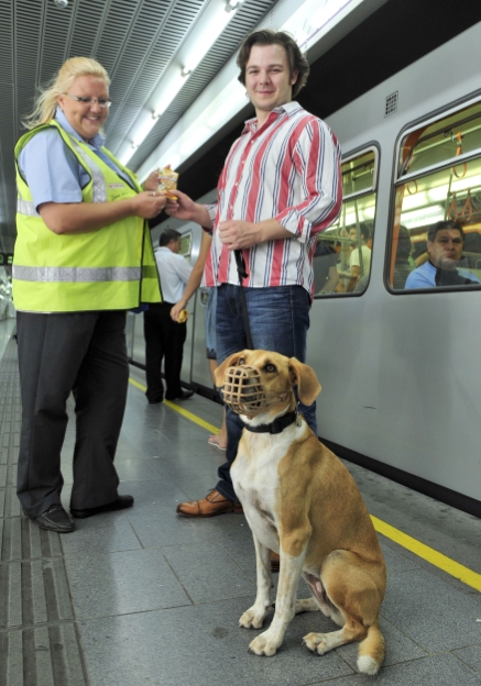 Wiener Linien starten Hunde-Aktion im Öffi-Netz