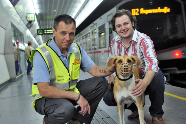 Wiener Linien starten Hunde-Aktion im Öffi-Netz