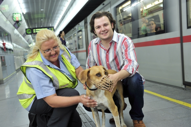 Wiener Linien starten Hunde-Aktion im Öffi-Netz