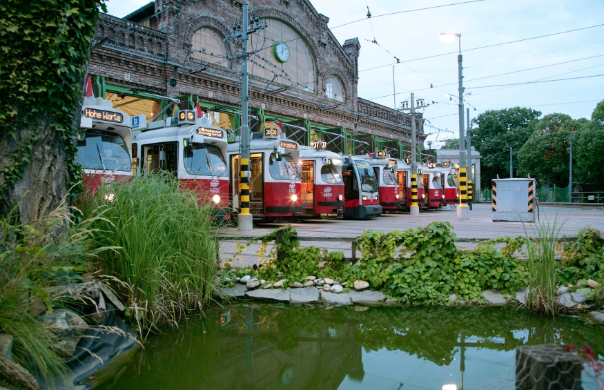 Bahnhof Gürtel mit diversen Zügen und Löschteich,  Juni 2011