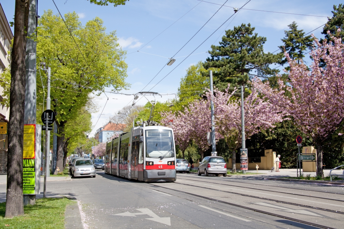 Linie 44 Type A Nr_44, Sandleitengasse Frühling 2012