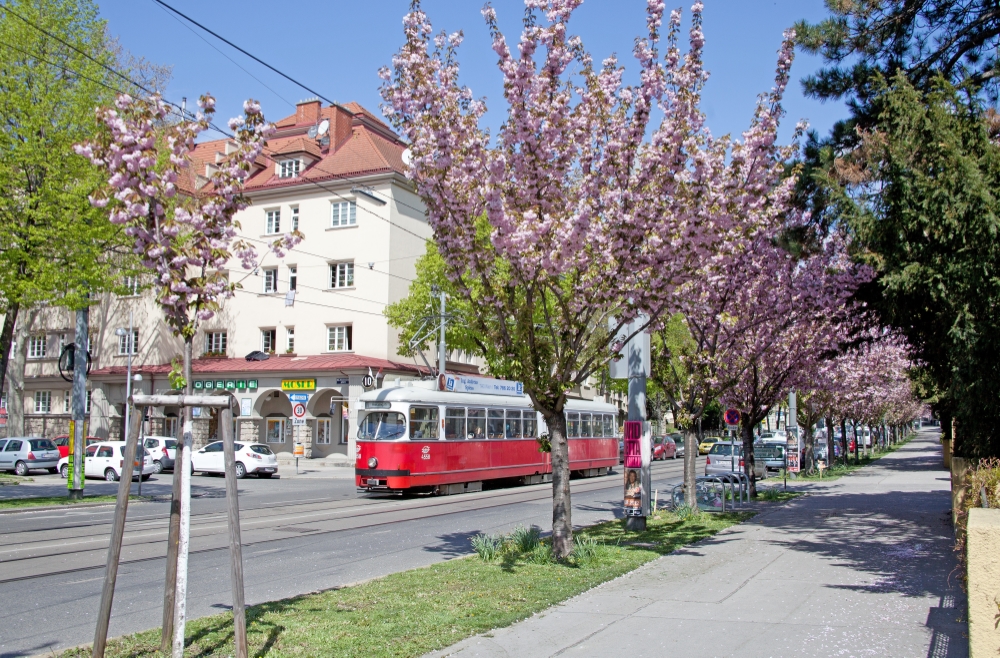 Linie 10 Type E1 Solo, Sandleitengasse Frühling 2012