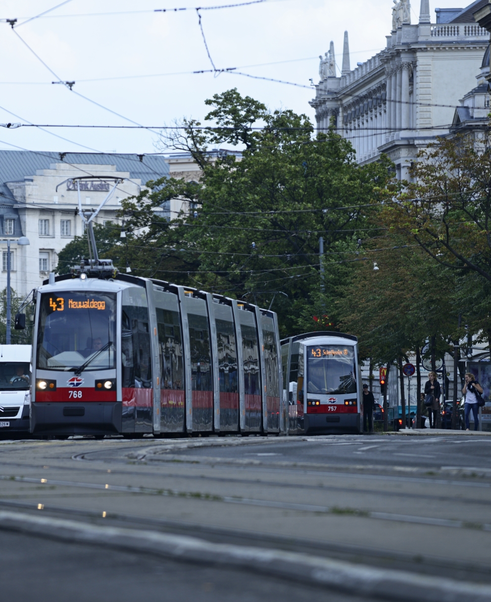 Straßenbahn der Linie 43 im Bereich Alserstraße.