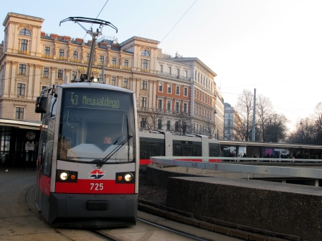 Linie 43 beim Schottentor