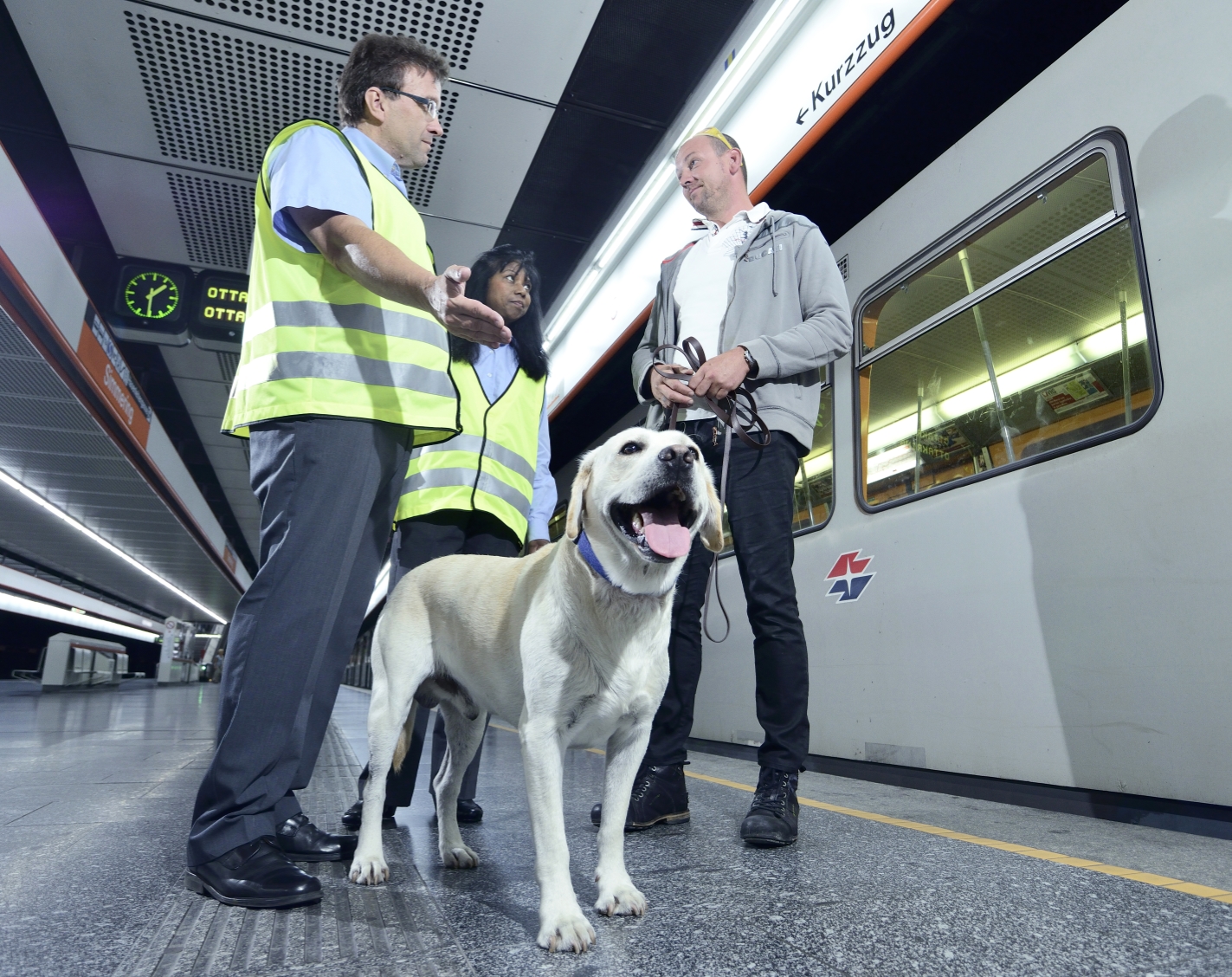 Beißkorb und Leine sind in den Öffis Pflicht. Kleine, ungefährliche Tiere, können in einem tiergerechten Transportbehälter im Fahrzeug befördert werden.