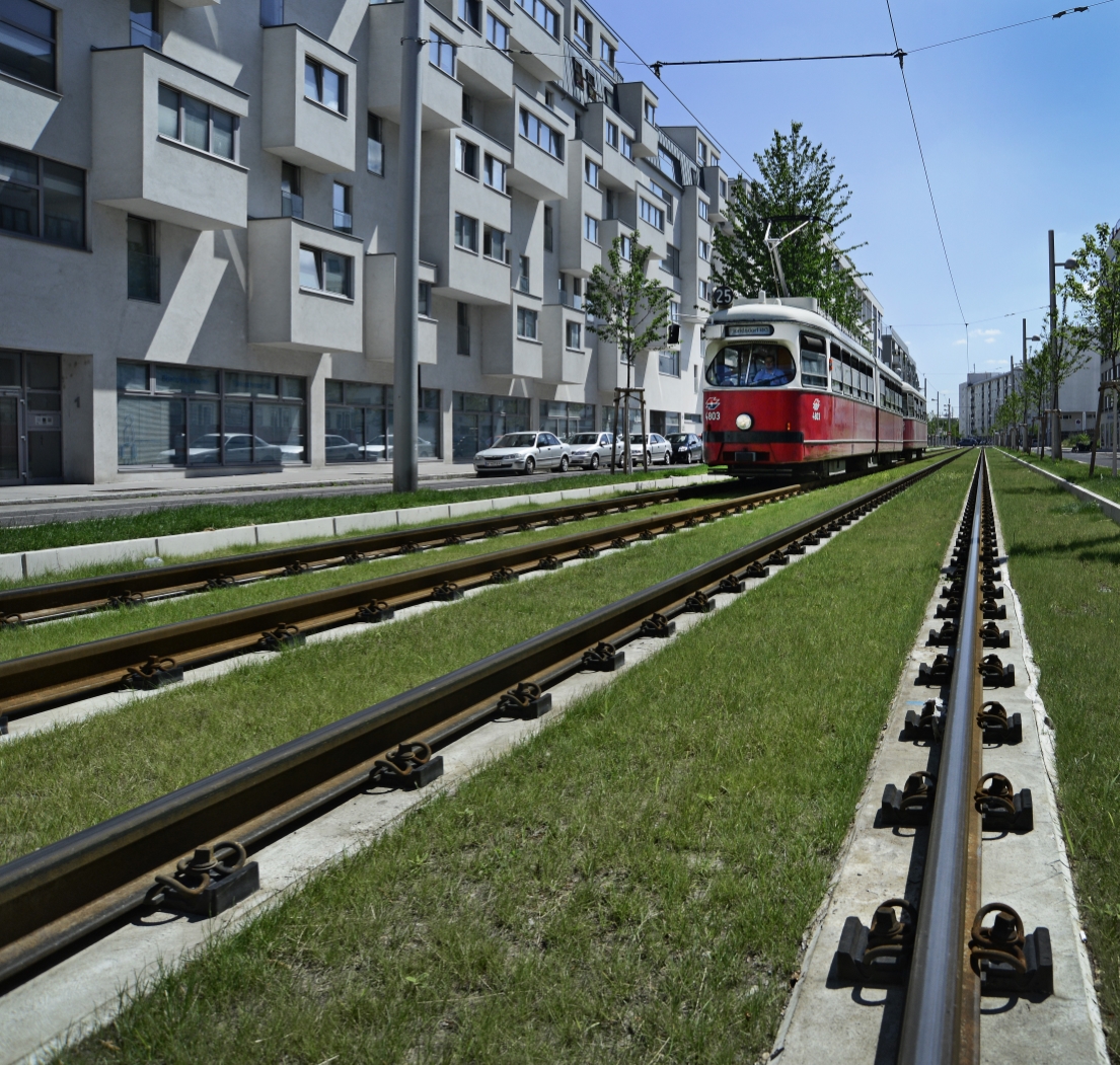 Straßenbahn der Linie 25 im Bereich Tokiostraße.