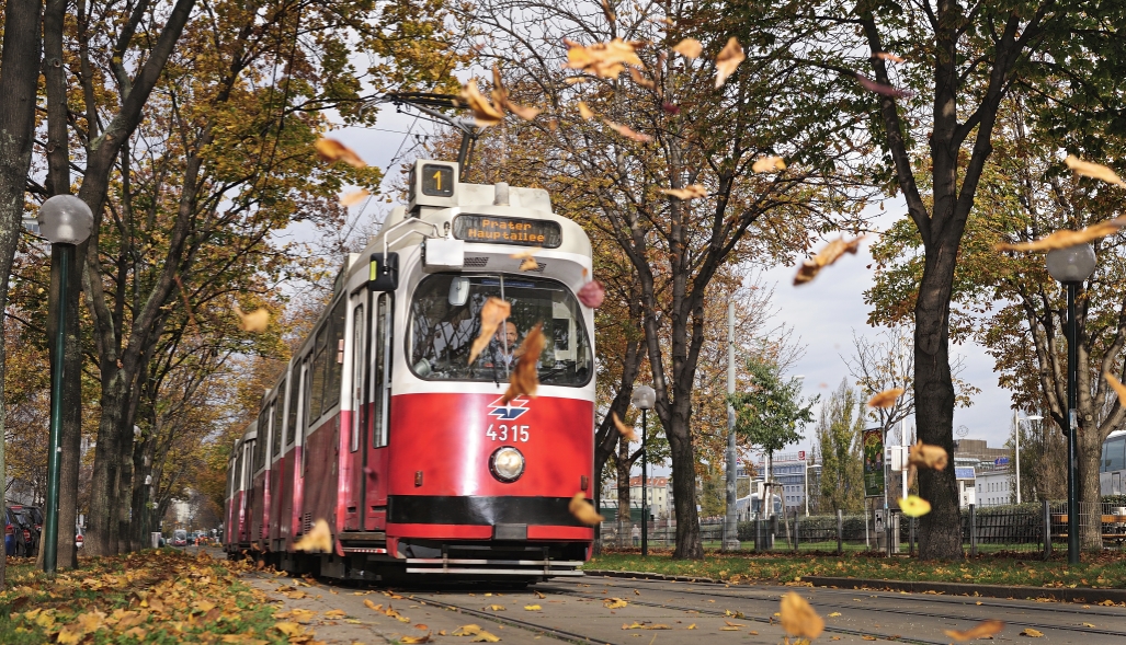 Straßenbahn der Linie 1 in der Allee am Franz-Josefs-Kai.