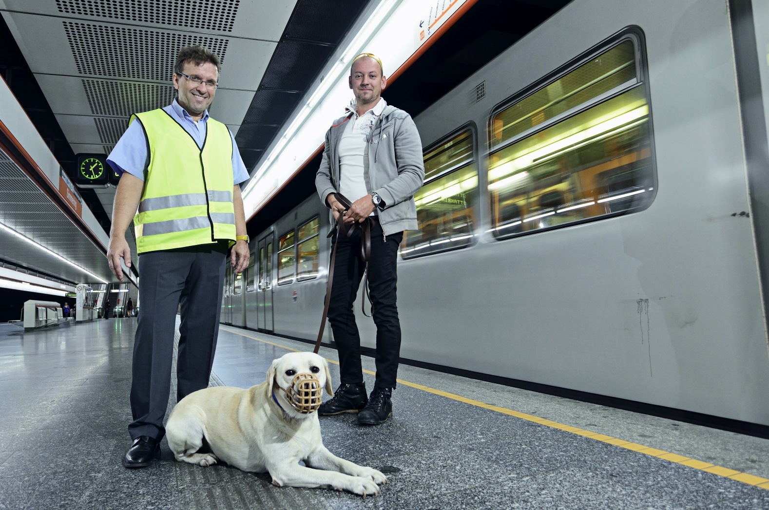 Beißkorb und Leine sind in den Öffis Pflicht. Kleine, ungefährliche Tiere, können in einem tiergerechten Transportbehälter im Fahrzeug befördert werden.