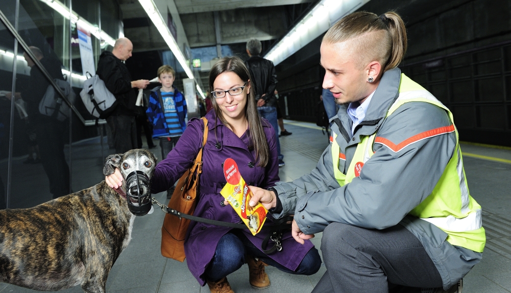 Als Dankeschön für vorbildliche HundebesitzerInnen gibt es Pedigree-Leckerlis für Hund mit Beißkorb und Leine in den Öffis.