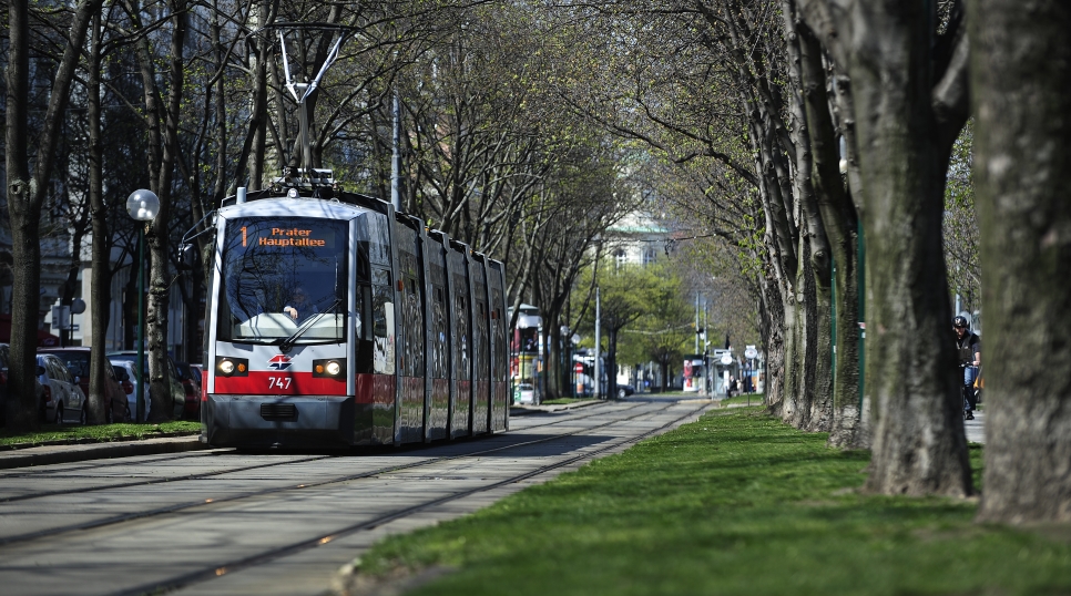 Straßenbahn der Linie 1 im Bereich Schottenring.