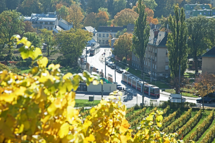 Linie 43 mit Ulf bei Neuwaldegg und Weinberg, Oktober 2013