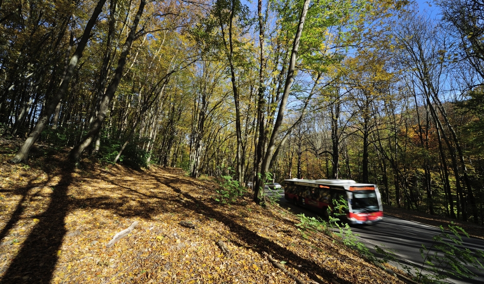 Autobus der Linie 43A auf der Höhenstraße.