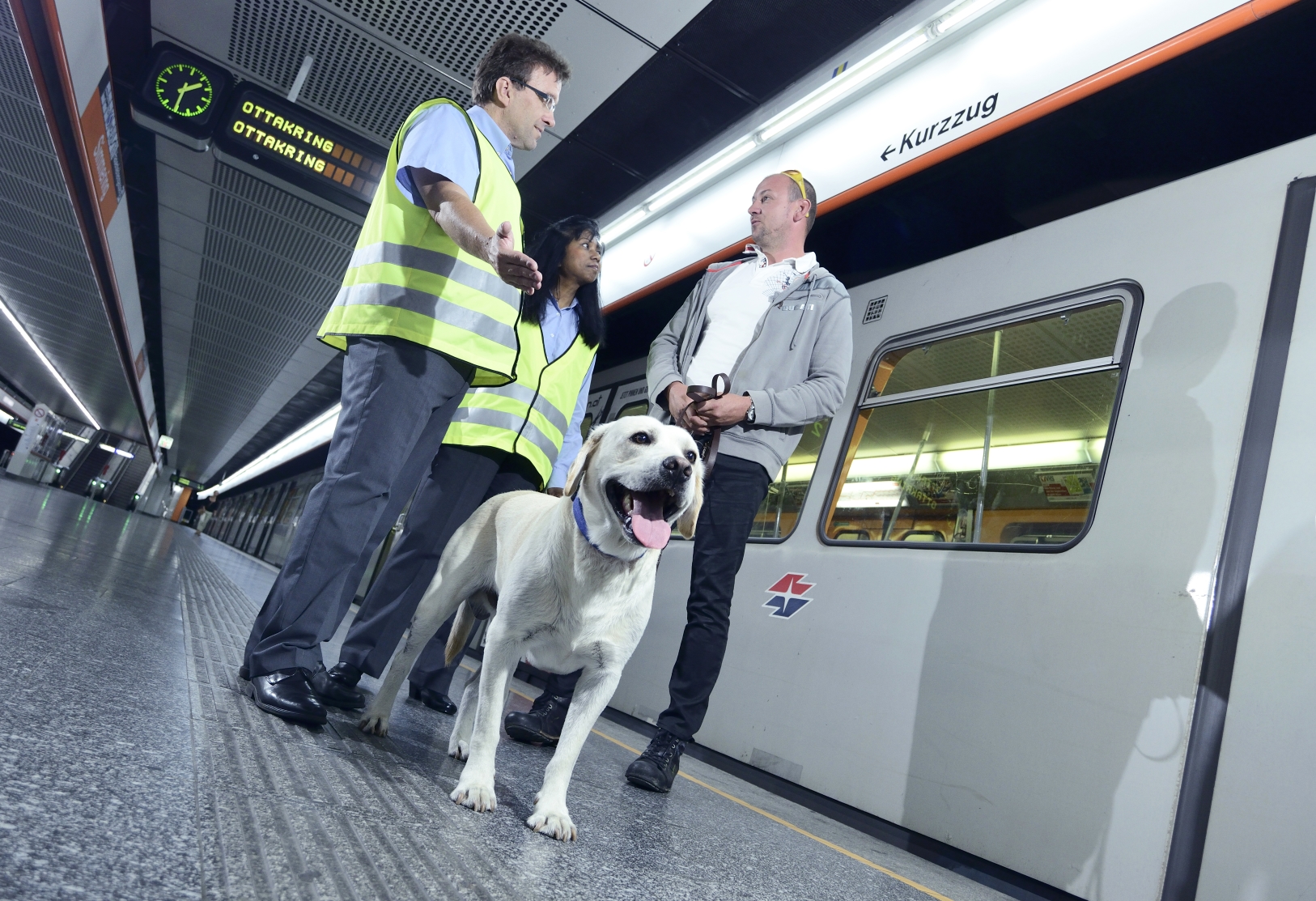 Beißkorb und Leine sind in den Öffis Pflicht. Kleine, ungefährliche Tiere, können in einem tiergerechten Transportbehälter im Fahrzeug befördert werden.