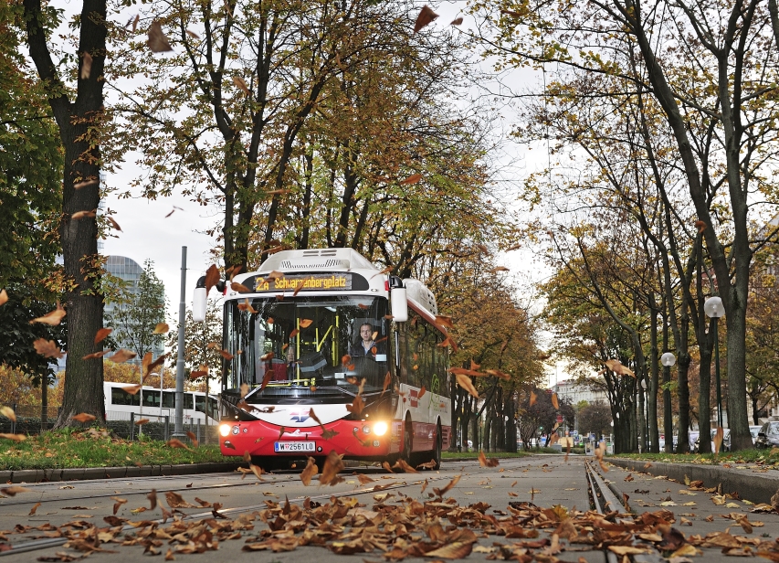 Autobus der Linie 2A in der Allee am Franz-Josefs-Kai.