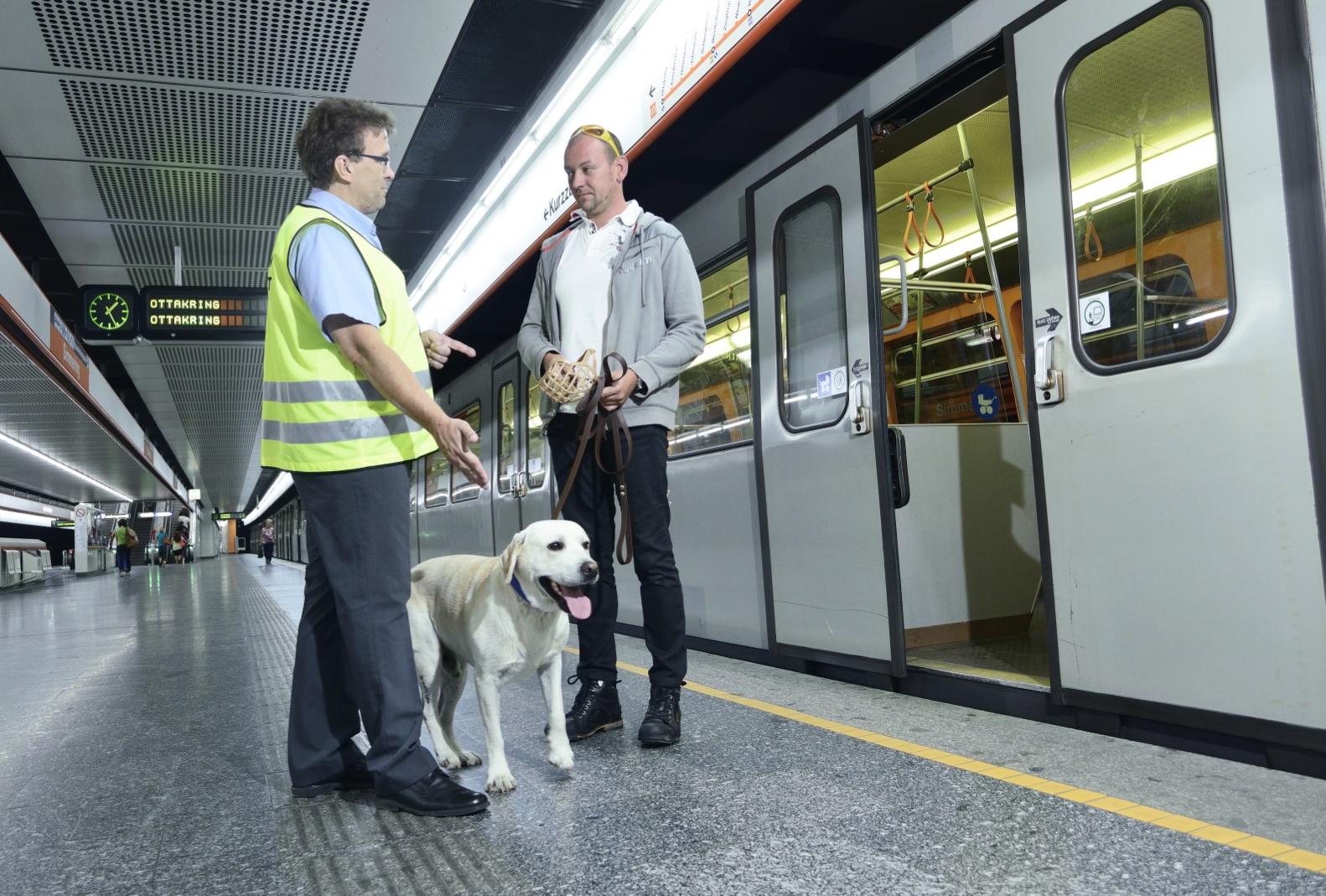 Beißkorb und Leine sind in den Öffis Pflicht. Kleine, ungefährliche Tiere, können in einem tiergerechten Transportbehälter im Fahrzeug befördert werden.