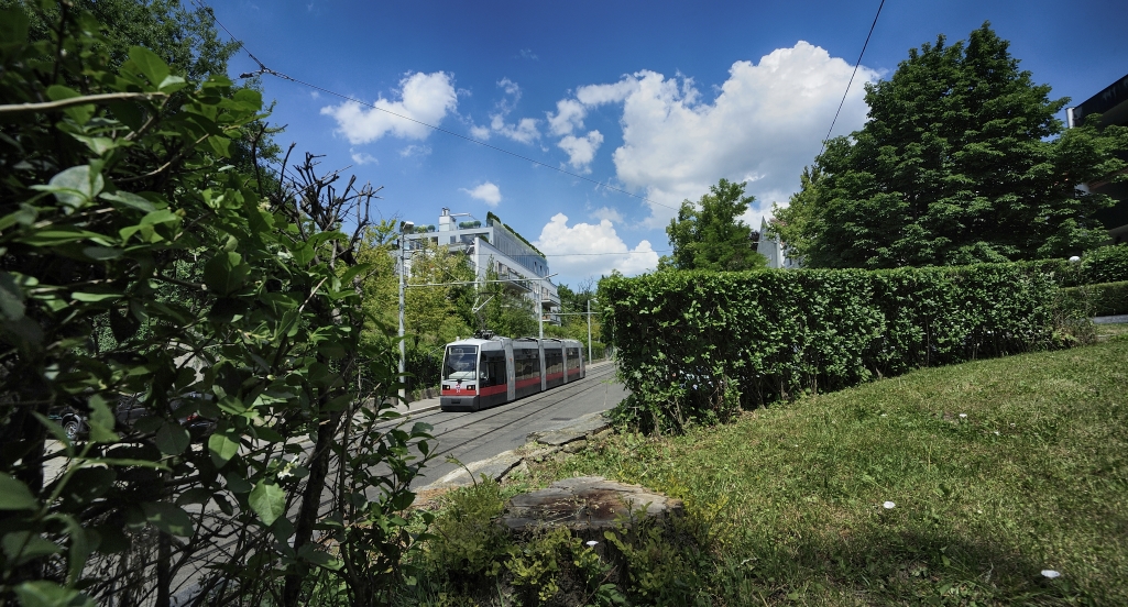 Straßenbahn der Linie 37.