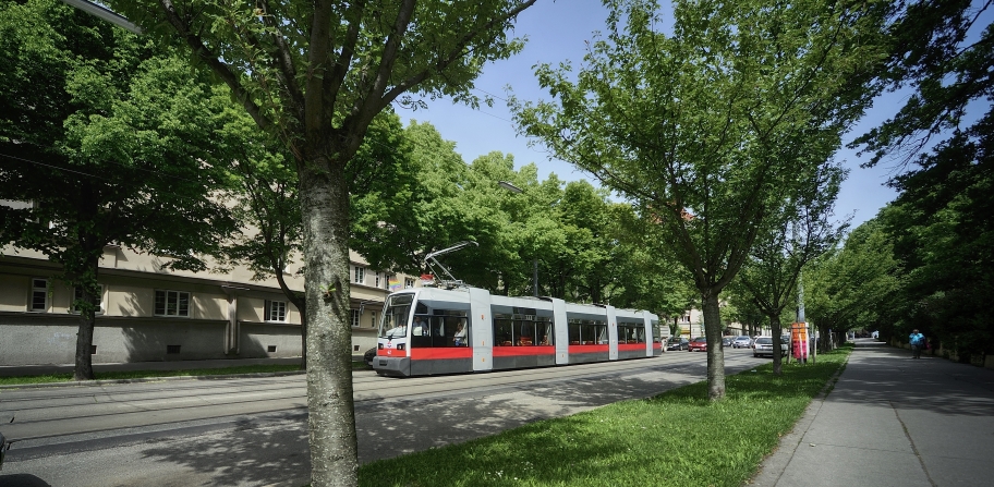 Straßenbahn der Linie 10.