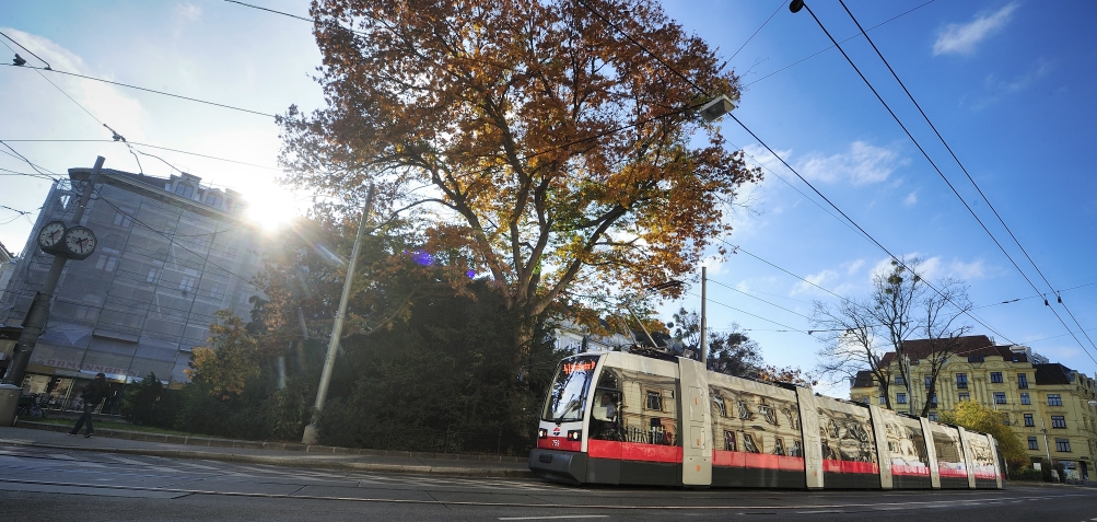 Straßenbahn der Linie 41.