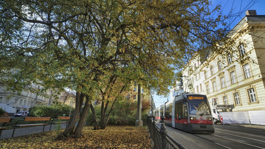 Straßenbahn der Linie 40.