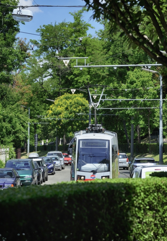 Straßenbahn der Linie 37.