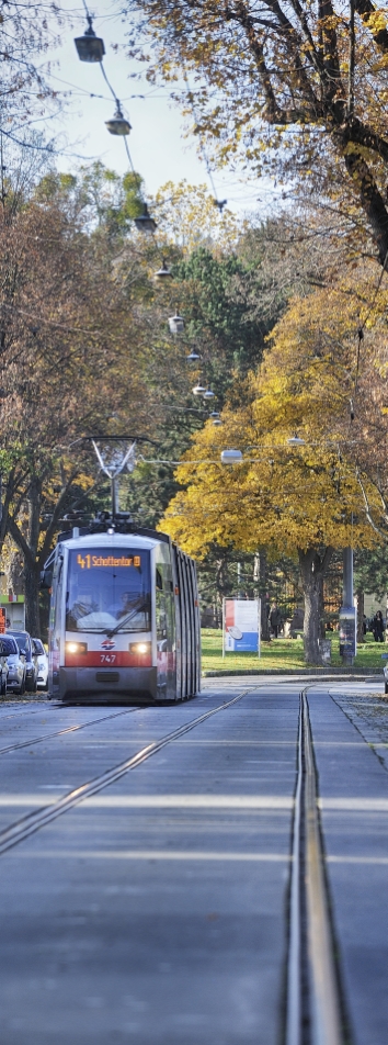 Straßenbahn der Linie 41 in der Pötzleinsdorfer Straße,