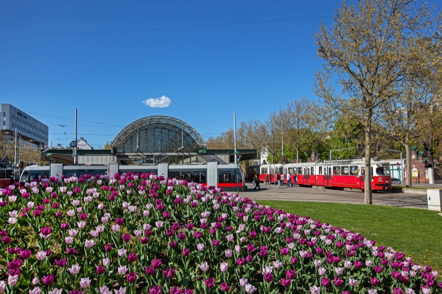 Linie 5 mit Type E1-c4  und ein Zug der Linie 58 mit der Type A1 am Westbahnhof, April 2015