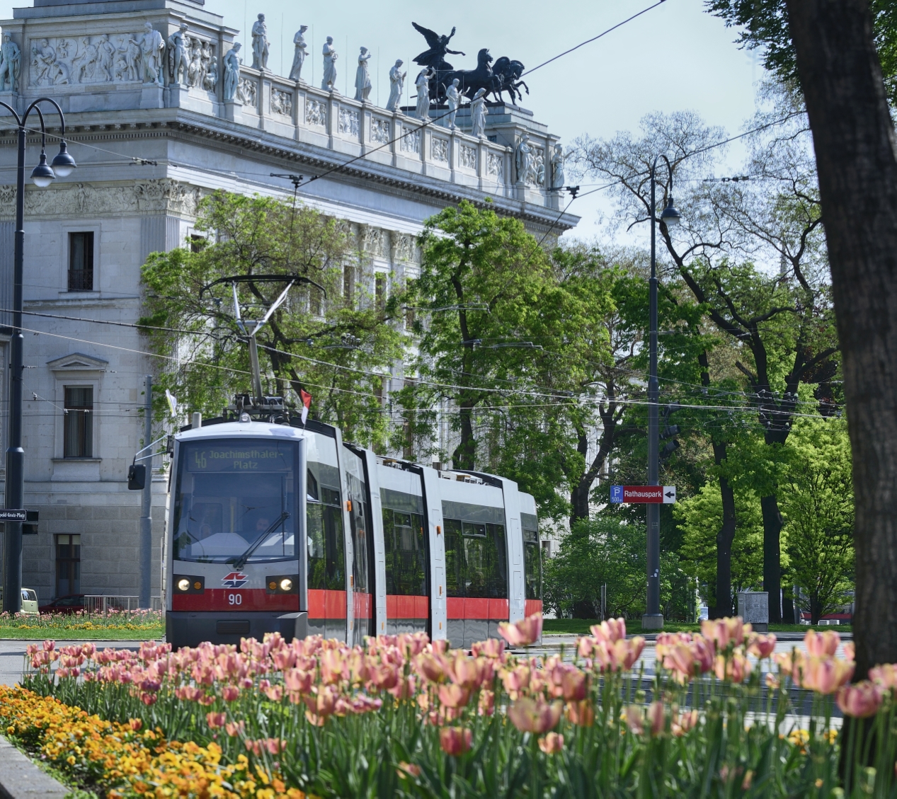 Straßenbahn der Linie 46, hier im Bild auf dem Schmerlingplatz.