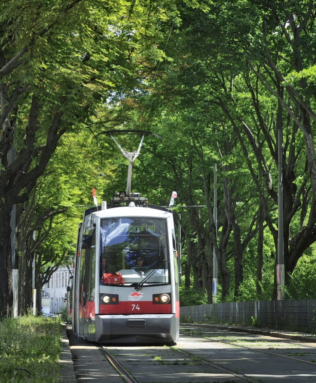 Straßenbahn der Linie 52.