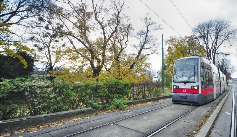 Straßenbahn der Linie 10 im Bereich Hadikgasse.