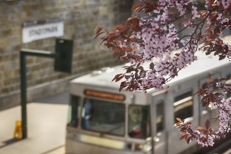 Mit der U-Bahn durch das frühlingshafte Wien.