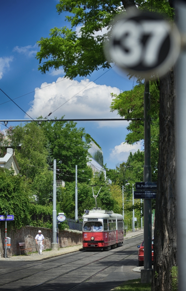 Straßenbahn der Linie 37.