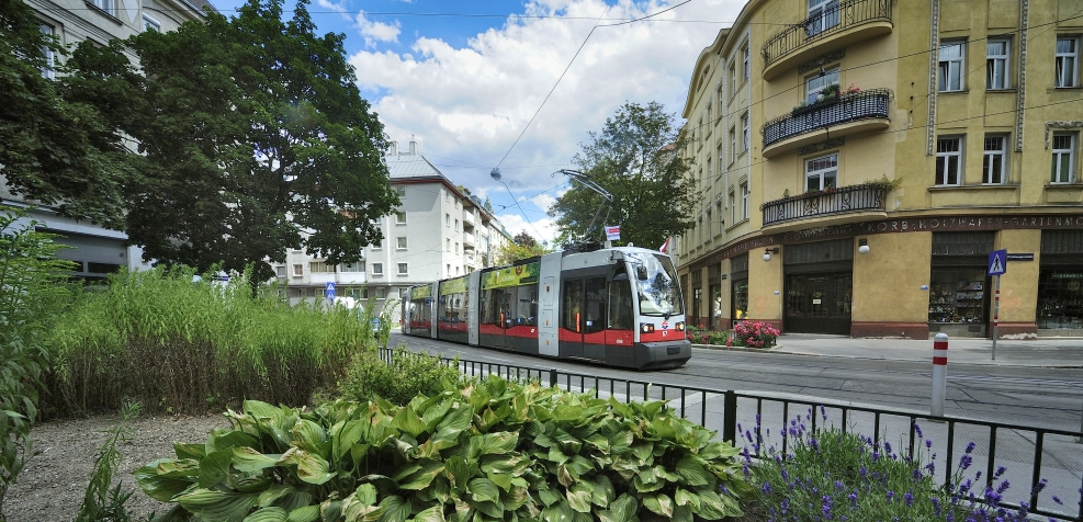 Straßenbahn der Linie 9.