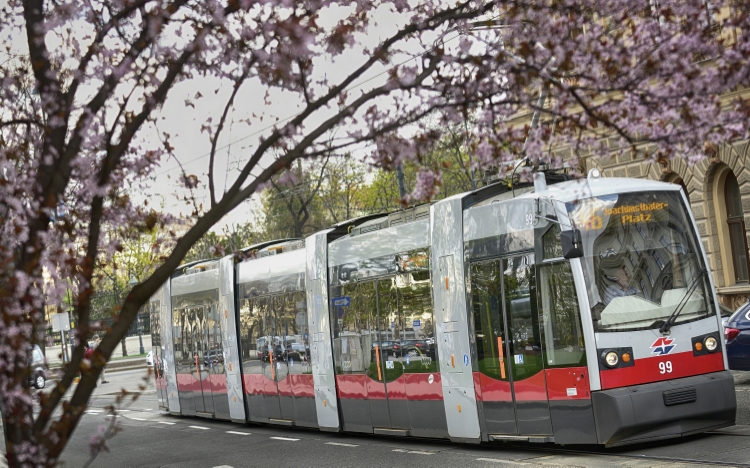 Straßenbahn im frühlingshaften Wien.