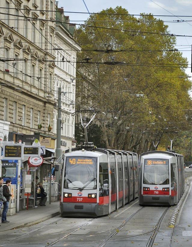 Straßenbahn der Linie 40.