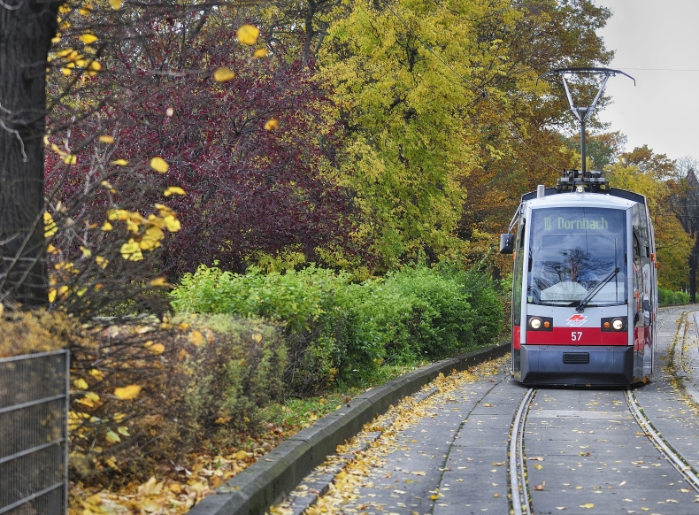 Straßenbahn der Linie 10 im Bereich Hadikgasse.