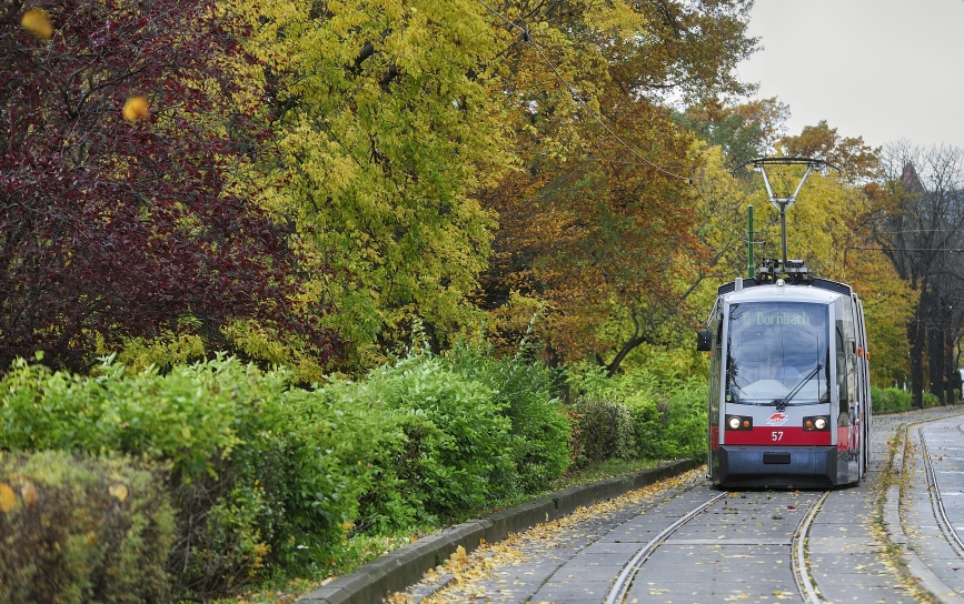 Straßenbahn der Linie 10 im Bereich Hadikgasse.