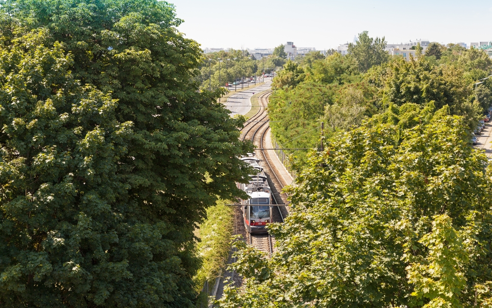 Linie 31 mit Type B ( ULF ) kurz vor der Endstelle Stammersdorf bei der Brünnerstraße, Juli 15