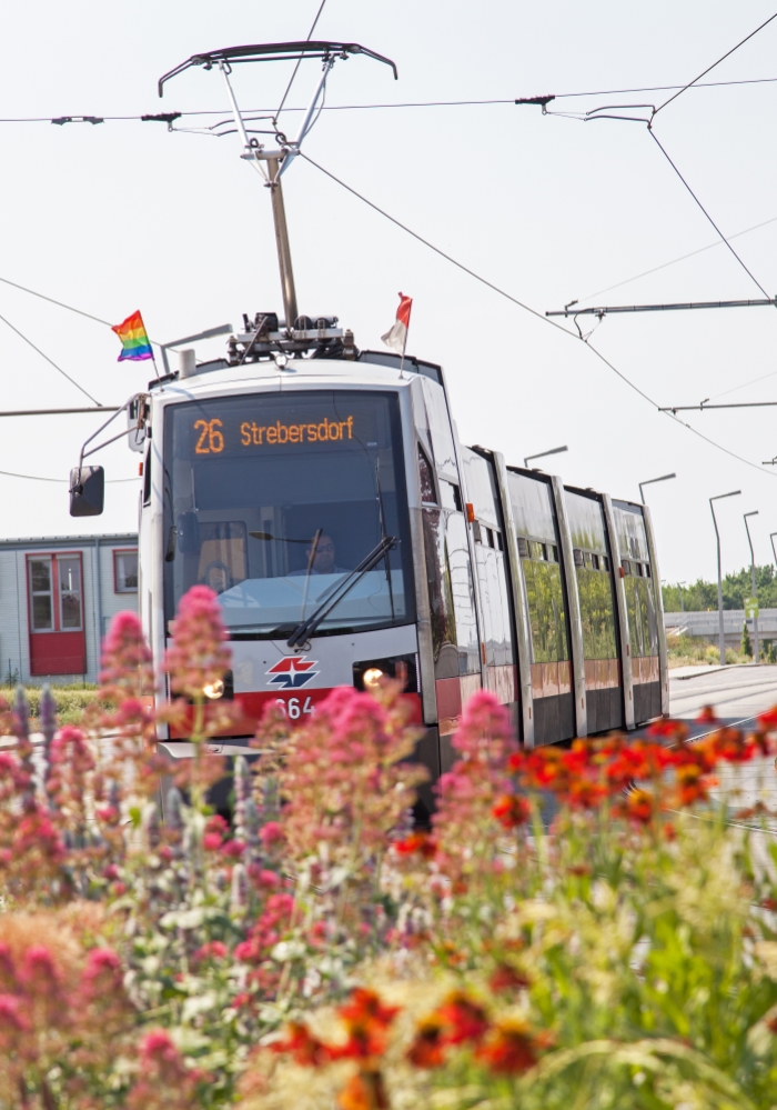 Linie 26 mit Type B (ulf)  in Hirschtetten kurz vor der Haltestelle am Heidjöchl, Juni 2015