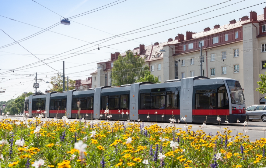 Linie 49  Baumgarten Fahrtrichtung  Ring Volkstheater