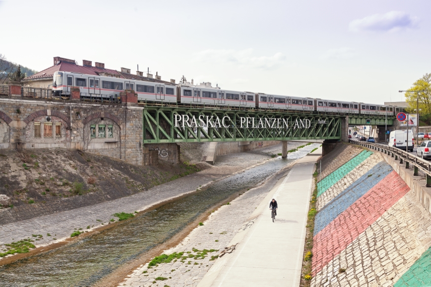 U-Bahn Zug der Linie U4 zwischen Hütteldorf und Ober St Veit, April 16