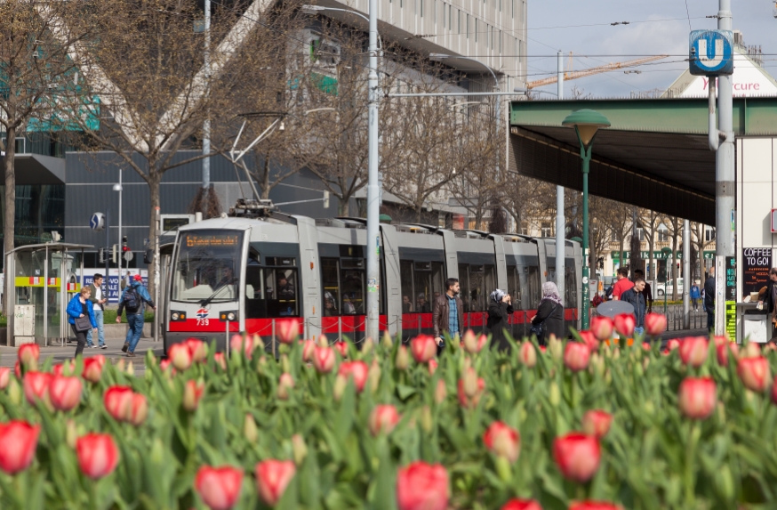 Linie 6 mit Type B1 am Westbahnhof, April 2016