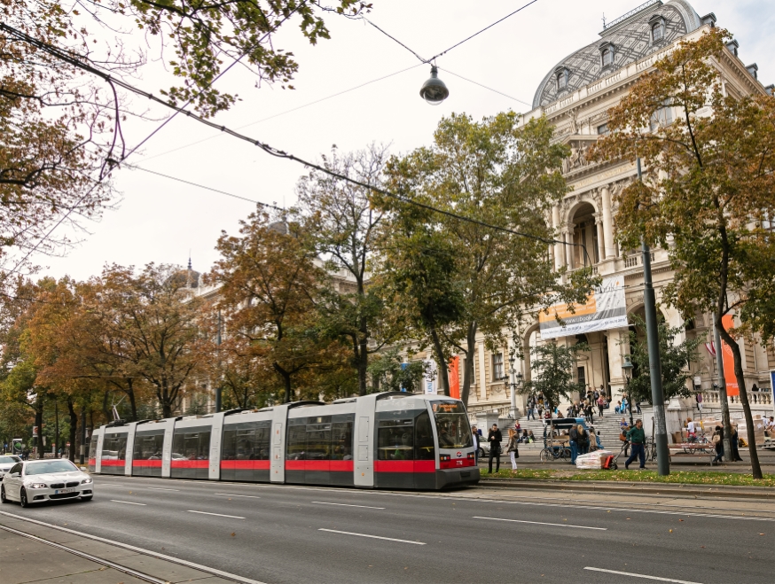 Linie D am Uniring Fahrtrichtung Hauptbahnhof