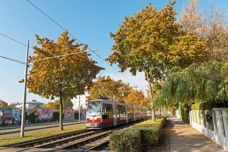 Linie 25 in der Langobardenstraße Fahrtrichtung Aspern