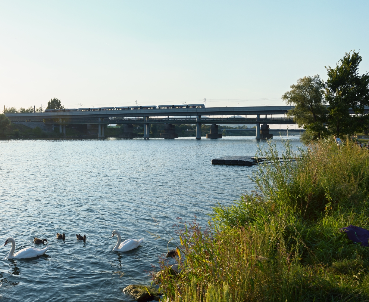 U6  Station Neue Donau mit T-Zug über der Donauinsel Fahrtrichtung Floridsdorf