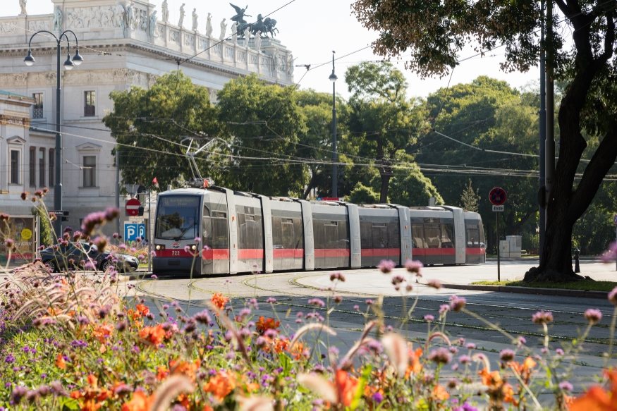 Linie 46 am Schmerlingplatz Fahrtrichtung Joachimsthalerplatz