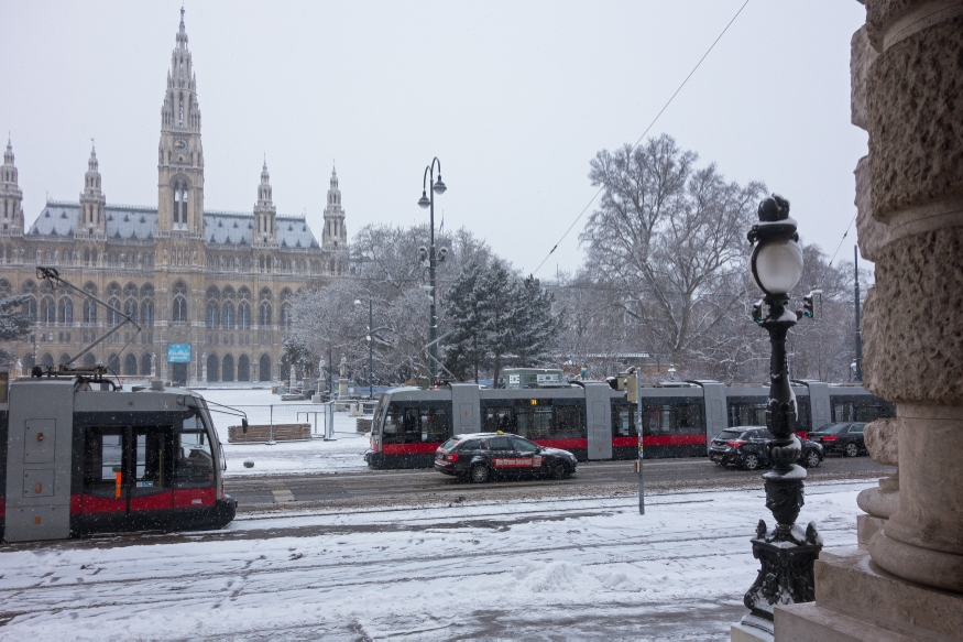 Linie 71 bei der Haltestelle Rathausplatz/ Burgtheater Fahrtrichtung Simmering