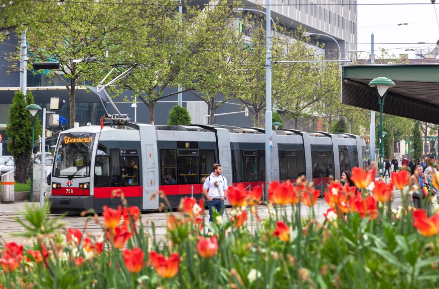 Linie 6  Westbahnhofl Richtung Kaiserebersdorf