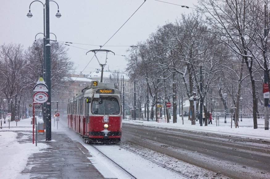 Linie D am Uni Ring Fahrtrichtung Nußdorf